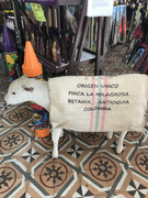 IMG-8892