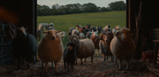 vlcsnap-2026-06-24-10h49m35s089.png