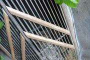 IMG-1813.jpg