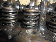 traction-013.jpg