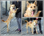 Be-Funky-collage-15.jpg&key=84ceef506da8