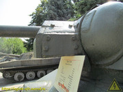IMG-5494