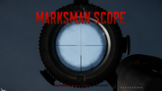 Perfect - Marksman scopes (Lebel)