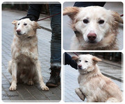 Be-Funky-collage-15.jpg&key=fc4d54268176