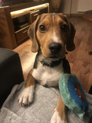 55-B115-EC-342-E-4-F74-BB68-64-F249-FEC4