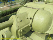 IMG-3111