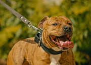 Screenshot_20230708_154902_Gallery