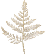 Sparkle-Snowman-Elements-14