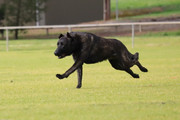 IMG-5136