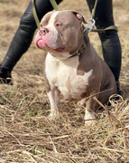 IMG_20230416_014822_103