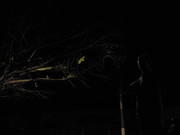 44.2.bloqueia ali carlão II