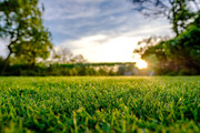 Best installation artificial grass AZ