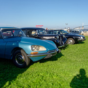 DSC00217-Dx-O1.jpg