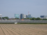 P1020007