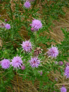 photo 47 2025 12 27 21 08 38