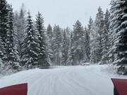 [Immagine: IMG_7440.jpg]