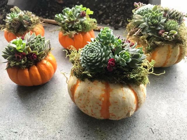 [Image: A3952-CA6-8-D19-4-F71-8-A82-B8-C3462-D06-B3.jpg]