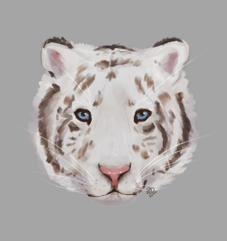 tiger-headshot-2-2.png