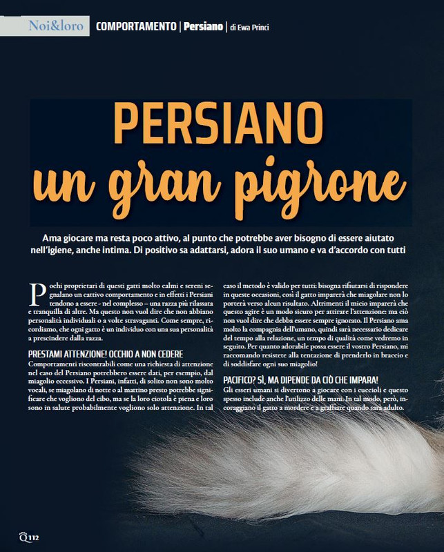 QuattroZampe Nov 2023 (9)