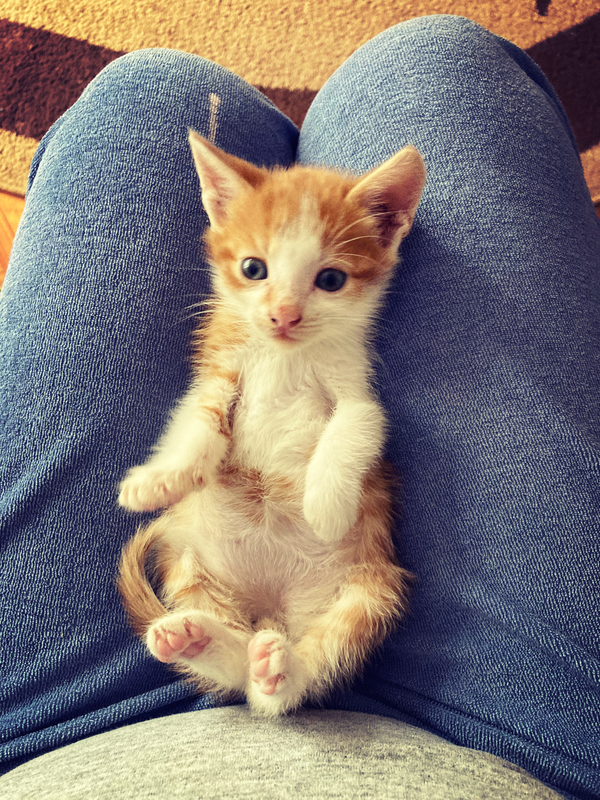 8315B6D4-23F9-4B54-BC92-2F809E604D39