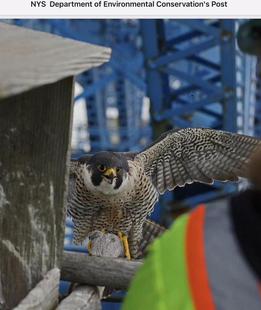 B00A68C8-8DCC-40BA-B6F1-4FA9AB5E0A34