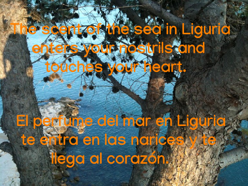 170-Liguria.png