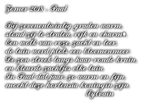 cooltext502156188815956