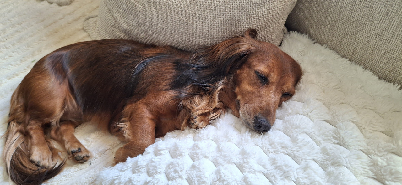 [Image: 20251007-103938.jpg]