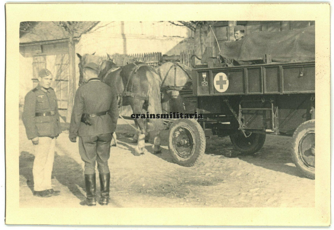 Orig. Foto Sanitätwagen Sanitäter DRK Wagen m. Wappen in Frankreich