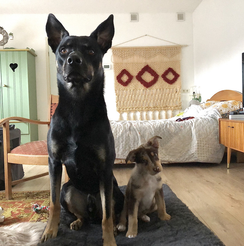 7112BE37-57D0-41DA-B45A-B0A3A7390D00