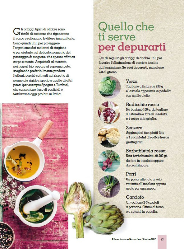 Alim Nat Ott 2015 (4)