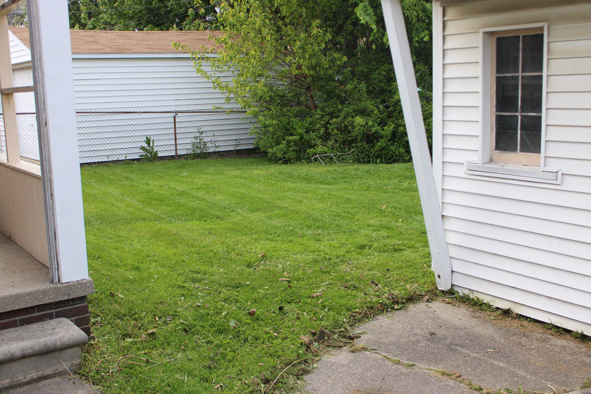 Lawn 2 After