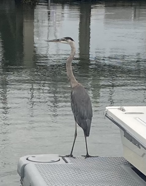 36BC4DF9-2396-4140-B8D6-D8A0D6C02E5E