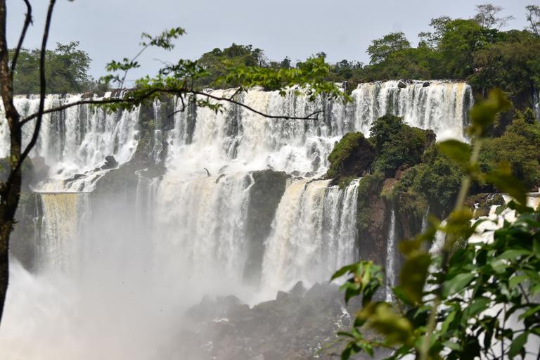 В джазе только девушки или аргентинско-бразильский калейдоскоп В джазе только девушки или аргентинско-бразильский калейдоскоп