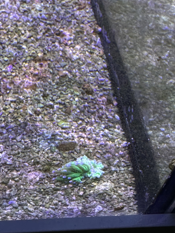 8FC4612C-0084-4DA2-9058-1FECF5A34B48