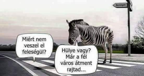 https://i.postimg.cc/597X0zf1/miert-nem-veszel-el.jpg