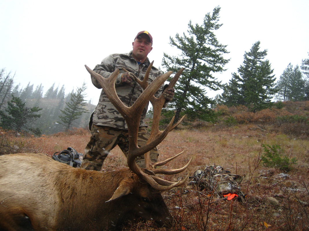 80D302F3-9622-4D28-89D1-93F14D8C1CC4