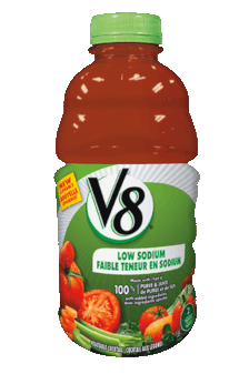 v8-small.png