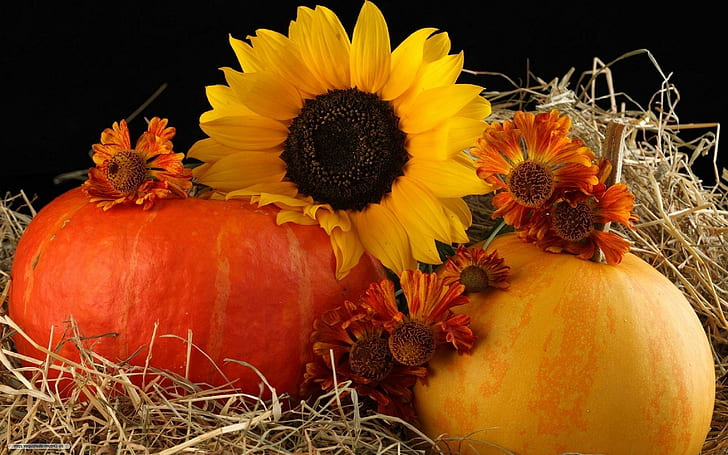 [Image: harvest-autumn-wallpaper-preview.jpg]
