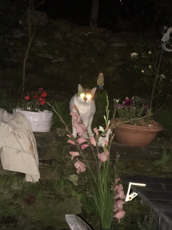 7D66D9AA-6B83-4795-82AF-50691E036674