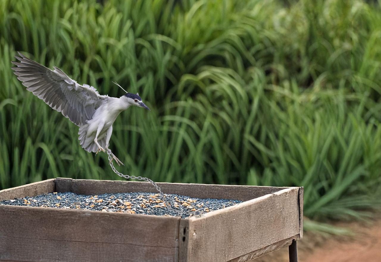 MG5 6310 61496 Non si fa questo non si fa