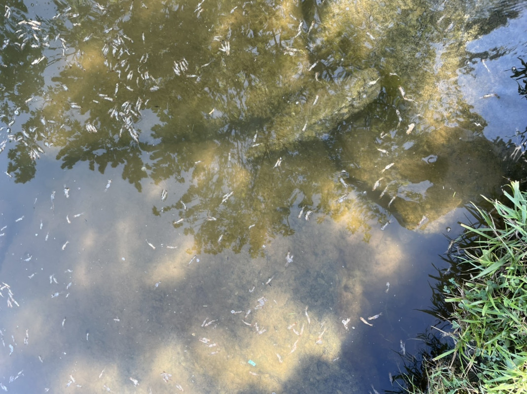 E37B326E-4807-4A35-BA4A-47A8592B4A14