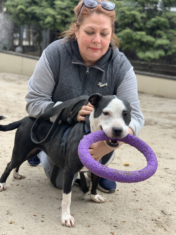 7BA06A72-7164-4E70-A589-6CC8A0B43138