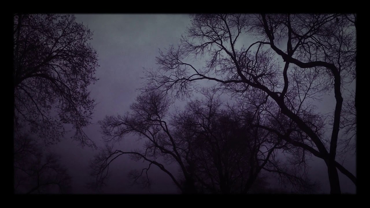 Dirk Lalonde's banner