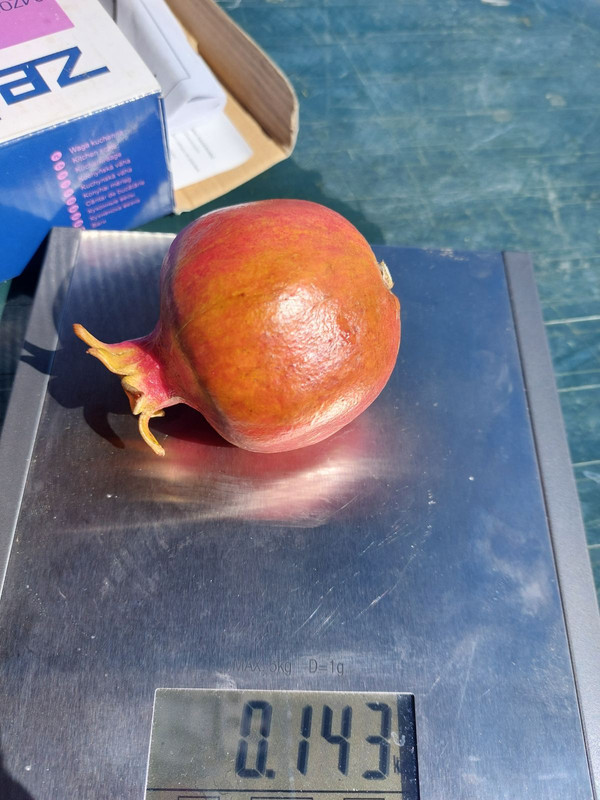 0-02-05-e665225e49315b7982b146f418f8c40a98788d9c3efdcb562d25786f450b7a2f_c5056e146c9b9280