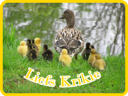blogjes13maart