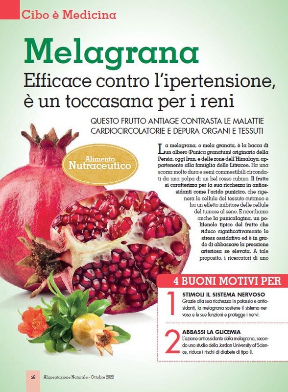 Alim Nat Ott 2022 (9)