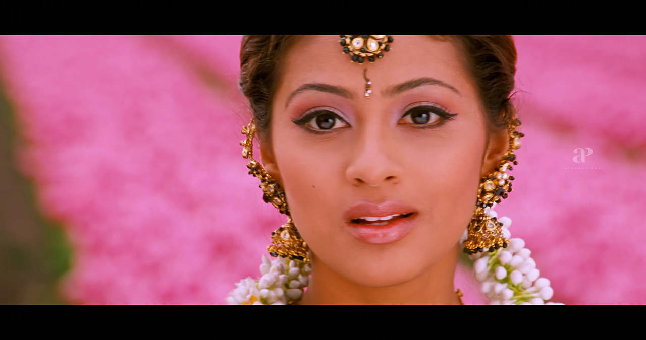 VideoCapture_20241122-200759