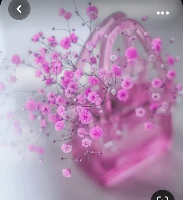 Screenshot_20231002_002119_Pinterest