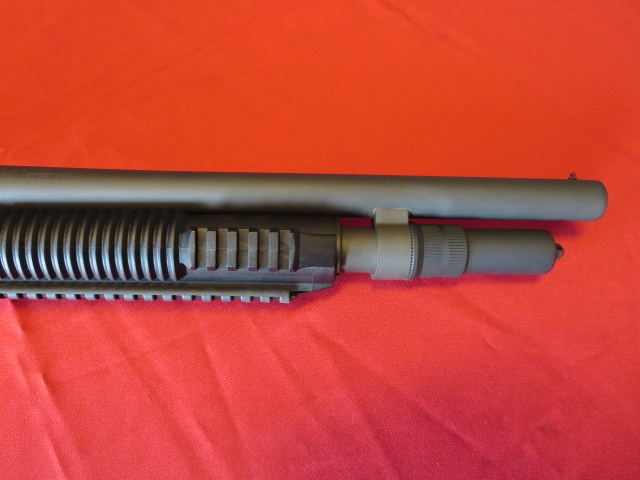 Waff-ank-Clearwater-011